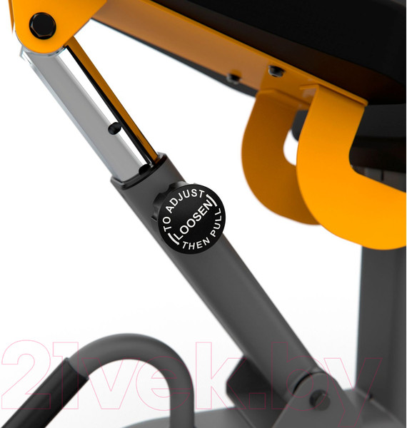 Изображение товара Скамья многофункциональная Stonerise DS01