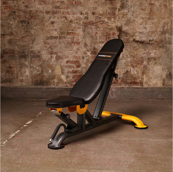 Изображение товара Скамья многофункциональная Stonerise DS01