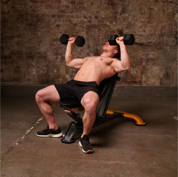 Изображение товара Скамья многофункциональная Stonerise DS01