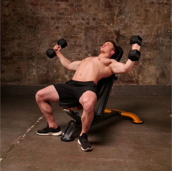 Изображение товара Скамья многофункциональная Stonerise DS01