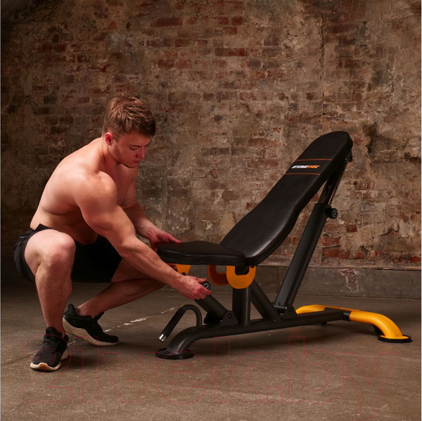 Изображение товара Скамья многофункциональная Stonerise DS01