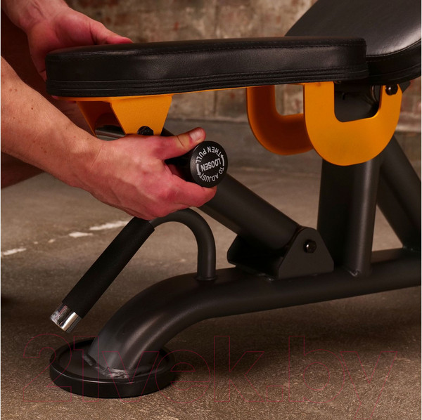 Изображение товара Скамья многофункциональная Stonerise DS01