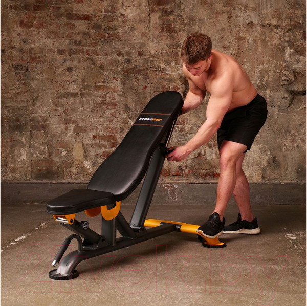 Изображение товара Скамья многофункциональная Stonerise DS01