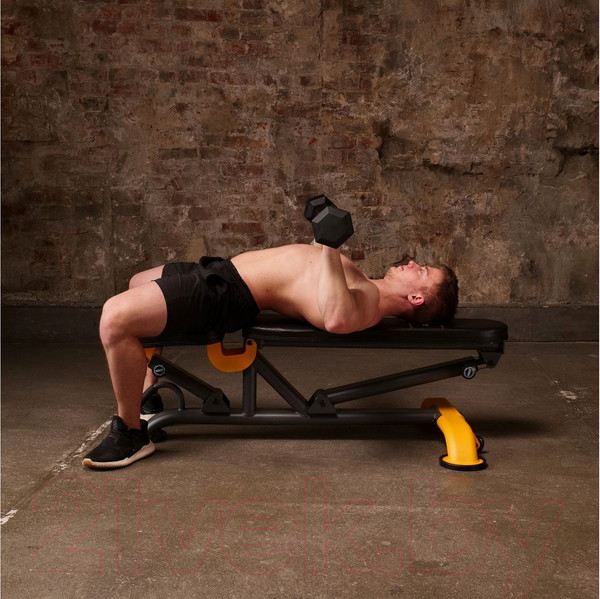 Изображение товара Скамья многофункциональная Stonerise DS01