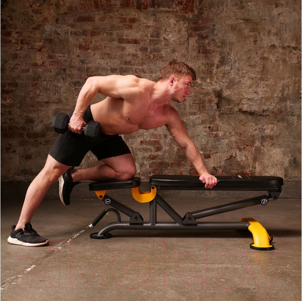 Изображение товара Скамья многофункциональная Stonerise DS01