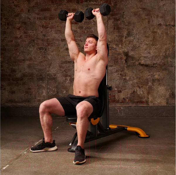 Изображение товара Скамья многофункциональная Stonerise DS01