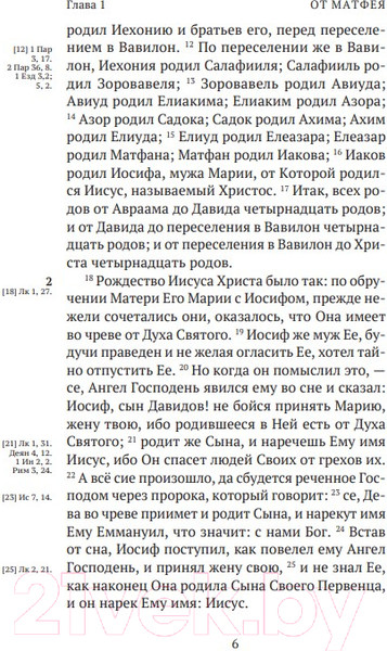 Изображение товара Книга Никея Новый Завет. С зачалами