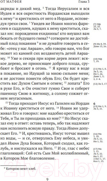 Изображение товара Книга Никея Новый Завет. С зачалами