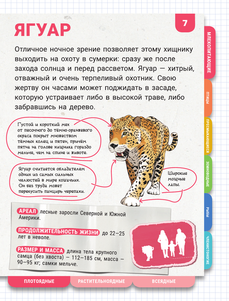 Изображение товара Энциклопедия АСТ Животные. Большая энциклопедия с большими буквами (Попова Ирина и др.)