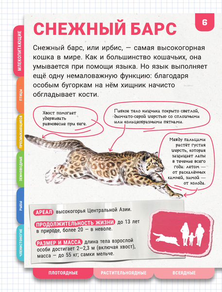 Изображение товара Энциклопедия АСТ Животные. Большая энциклопедия с большими буквами (Попова Ирина и др.)