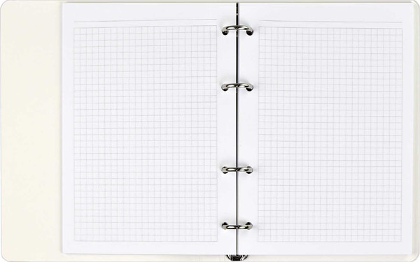 Изображение товара Тетрадь Феникс+ В красках / 61519