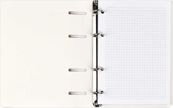 Изображение товара Тетрадь Феникс+ В красках / 61519