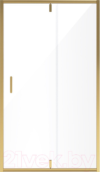 Изображение товара Душевая дверь Niagara NG-43-10AG 100x190