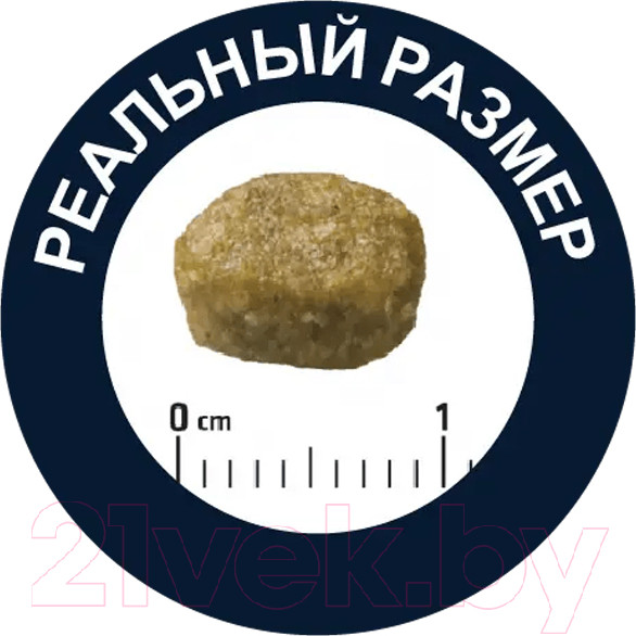 Изображение товара Сухой корм для кошек Advance Sterilized индейка и ячмень (3кг)