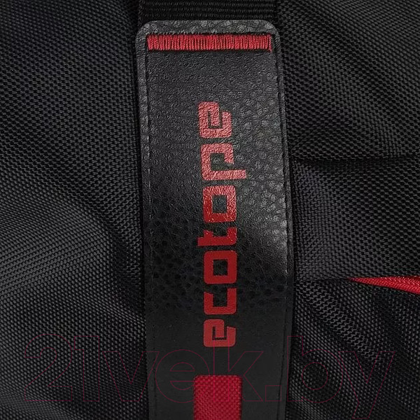 Изображение товара Сумка дорожная Ecotope 018-C1420/1-BLK (черный)