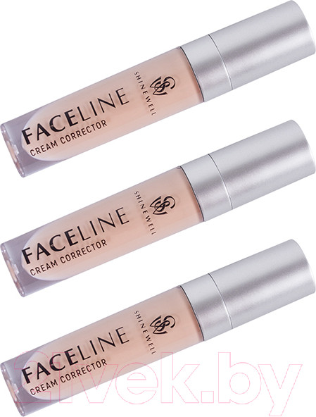 Изображение товара Корректор Shinewell Кремовый FLC2-03 тон 3