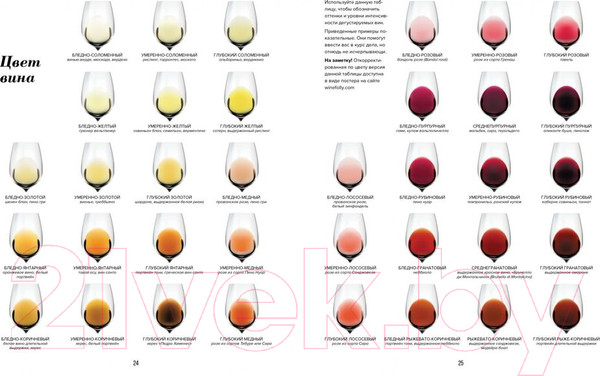 Изображение товара Книга КоЛибри Wine Folly. Издание магнум, детализированное (Пакетт М.,Хэммек Д.)