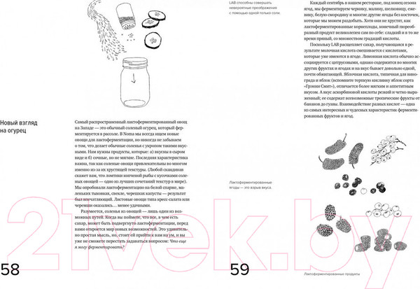 Изображение товара Книга КоЛибри Гид по ферментации от Noma (Редзепи Р.,Зильбер Д.)