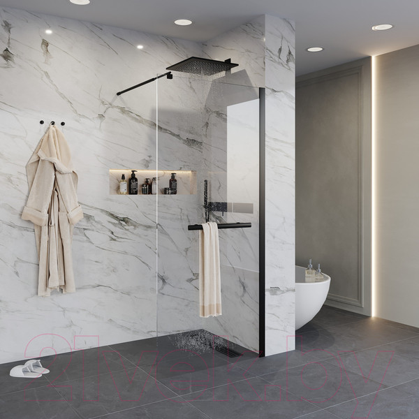 Изображение товара Душевая стенка Niagara NG-681-10 100x195 (черный)