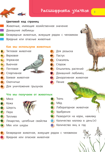 Изображение товара Энциклопедия АСТ Домашние животные. Я познаю мир!