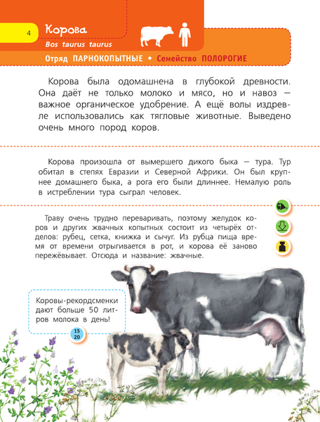 Изображение товара Энциклопедия АСТ Домашние животные. Я познаю мир!