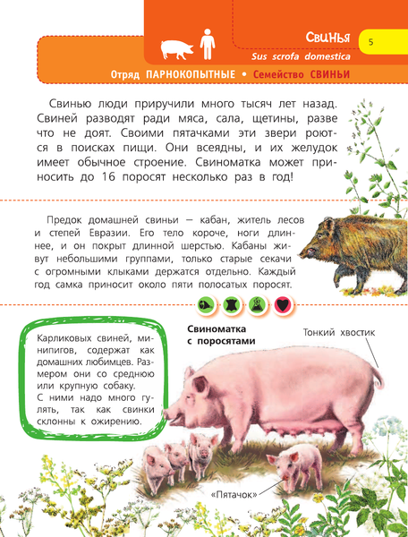 Изображение товара Энциклопедия АСТ Домашние животные. Я познаю мир!