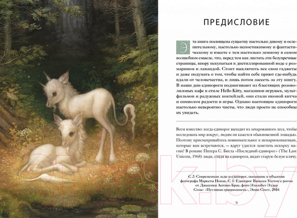 Изображение товара Книга КоЛибри Книга Единорогов (Терджен К.)