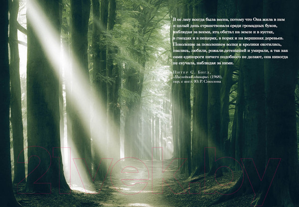 Изображение товара Книга КоЛибри Книга Единорогов (Терджен К.)