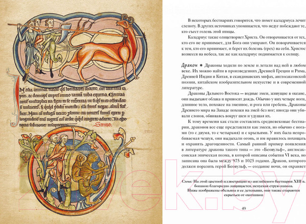 Изображение товара Книга КоЛибри Книга Единорогов (Терджен К.)