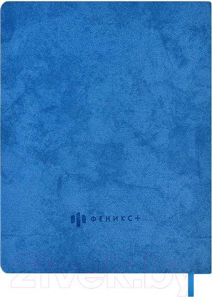 Изображение товара Дневничок Феникс+ Енот / 59027