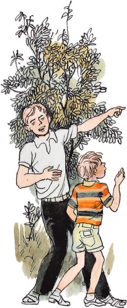 Изображение товара Художественная книга АСТ Дядя Степа. Читаем сами без мамы (Михалков Сергей)