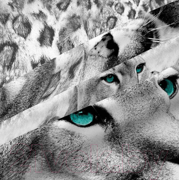 Изображение товара Комплект постельного белья ВАСИЛИСА Пума 4237/1 2.0