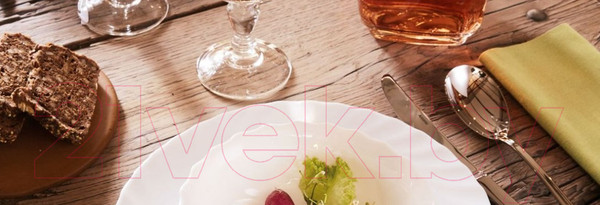 Изображение товара Тарелка столовая обеденная Arcoroc Трианон / N8244