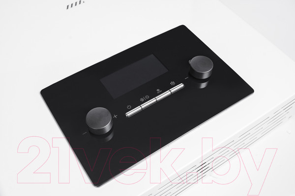 Изображение товара Газовый котел Mizudo M24