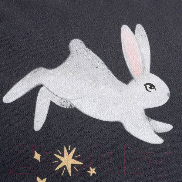 Изображение товара Комплект постельного белья Этель Лесной житель / 7582917