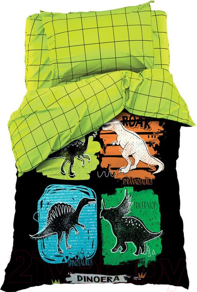Изображение товара Комплект постельного белья Этель Dinoera / 9291463