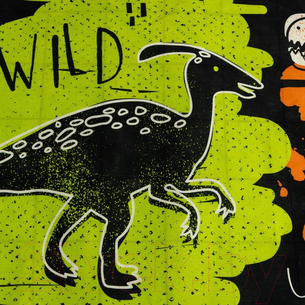 Изображение товара Комплект постельного белья Этель Dinoera / 9291463