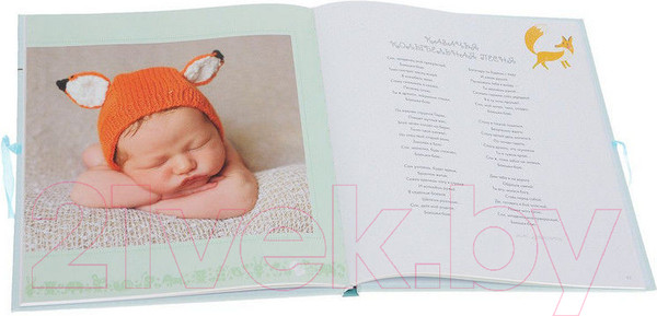 Изображение товара Альбом малыша АСТ Мой малыш / 9785170845385