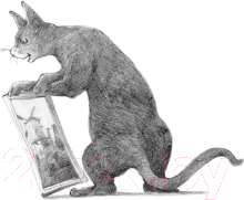 Изображение товара Книга АСТ Кот Тихон, или Похищение Голландца (Трауб М.)