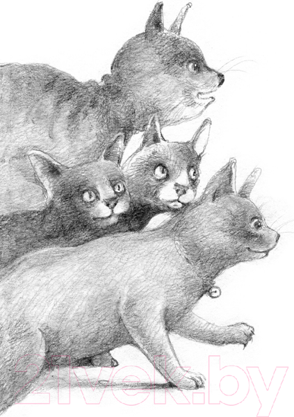 Изображение товара Книга АСТ Кот Тихон, или Похищение Голландца (Трауб М.)