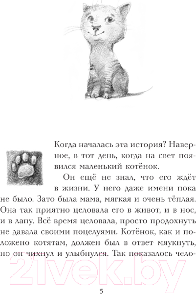Изображение товара Книга АСТ Кот Тихон, или Похищение Голландца (Трауб М.)