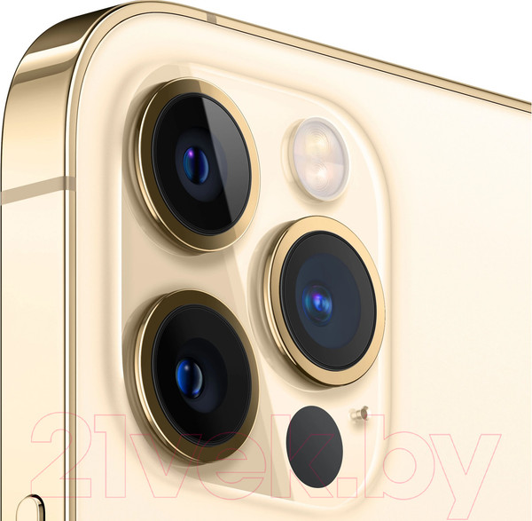 Изображение товара Смартфон восстановленный Apple iPhone 12 Pro 256GB Flip Грейд B (золото)
