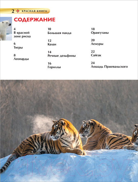 Изображение товара Энциклопедия Росмэн Детская. Красная книга