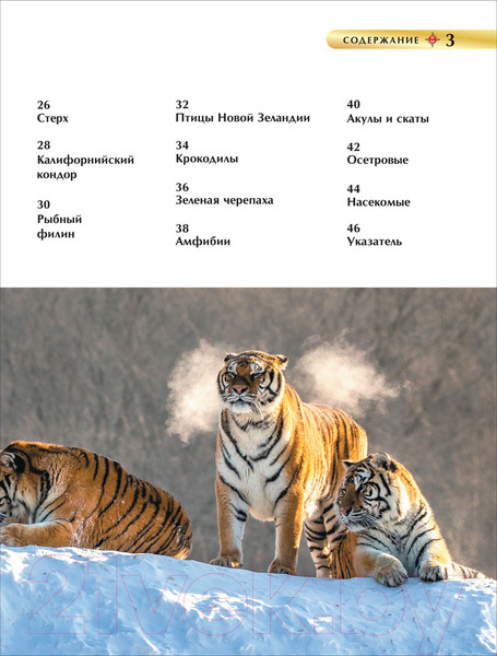 Изображение товара Энциклопедия Росмэн Детская. Красная книга