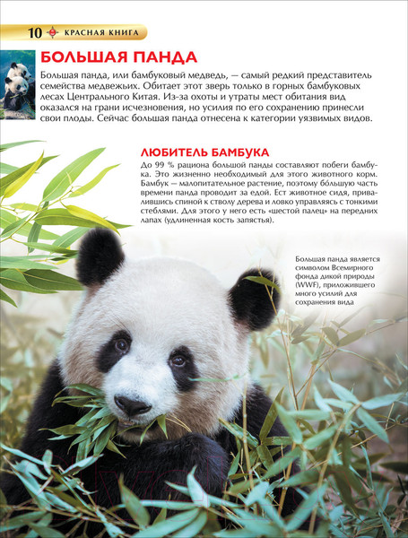 Изображение товара Энциклопедия Росмэн Детская. Красная книга
