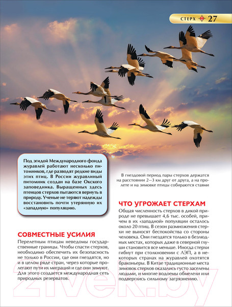 Изображение товара Энциклопедия Росмэн Детская. Красная книга