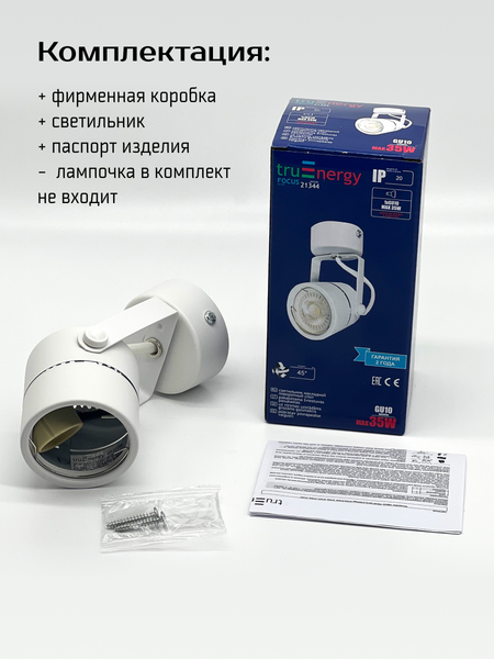 Изображение товара Спот Truenergy 21344