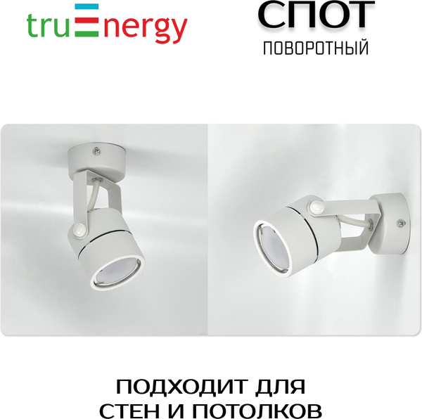 Изображение товара Спот Truenergy 21344