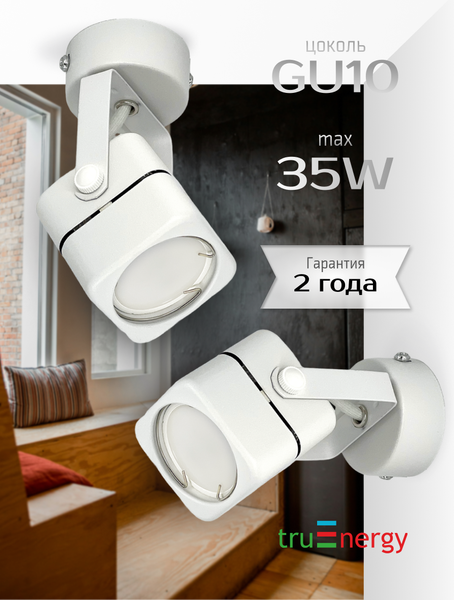 Изображение товара Спот Truenergy 21346