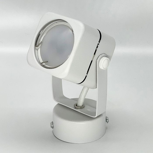 Изображение товара Спот Truenergy 21346